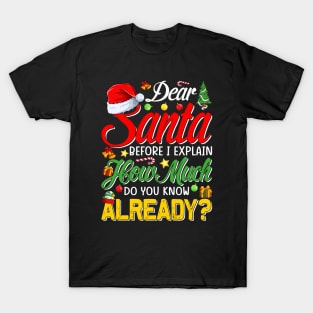 Dear Santa Before I Explain How Much Do You Know Already T-Shirt T-Shirt